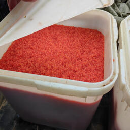 Магаданец поплатился за бизнес на нелегальных морепродуктах Магаданец поплатился за бизнес на нелегальных морепродуктах
